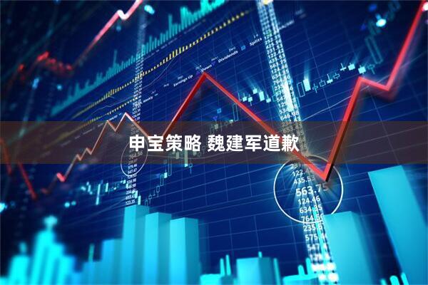 申宝策略 魏建军道歉