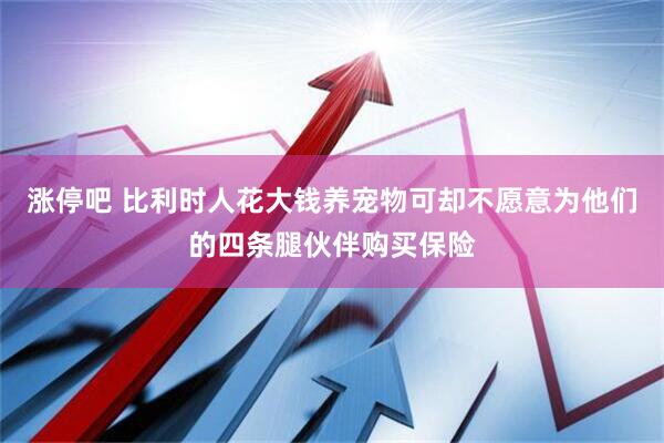 涨停吧 比利时人花大钱养宠物可却不愿意为他们的四条腿伙伴购买保险