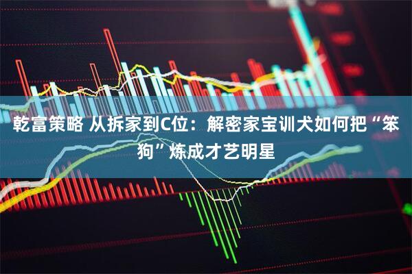 乾富策略 从拆家到C位：解密家宝训犬如何把“笨狗”炼成才艺明星