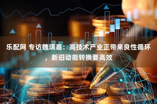 乐配网 专访魏琪嘉：高技术产业正带来良性循环，新旧动能转换要高效