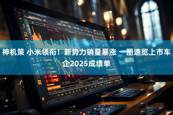 神机策 小米领衔！新势力销量暴涨 一图速览上市车企2025成绩单